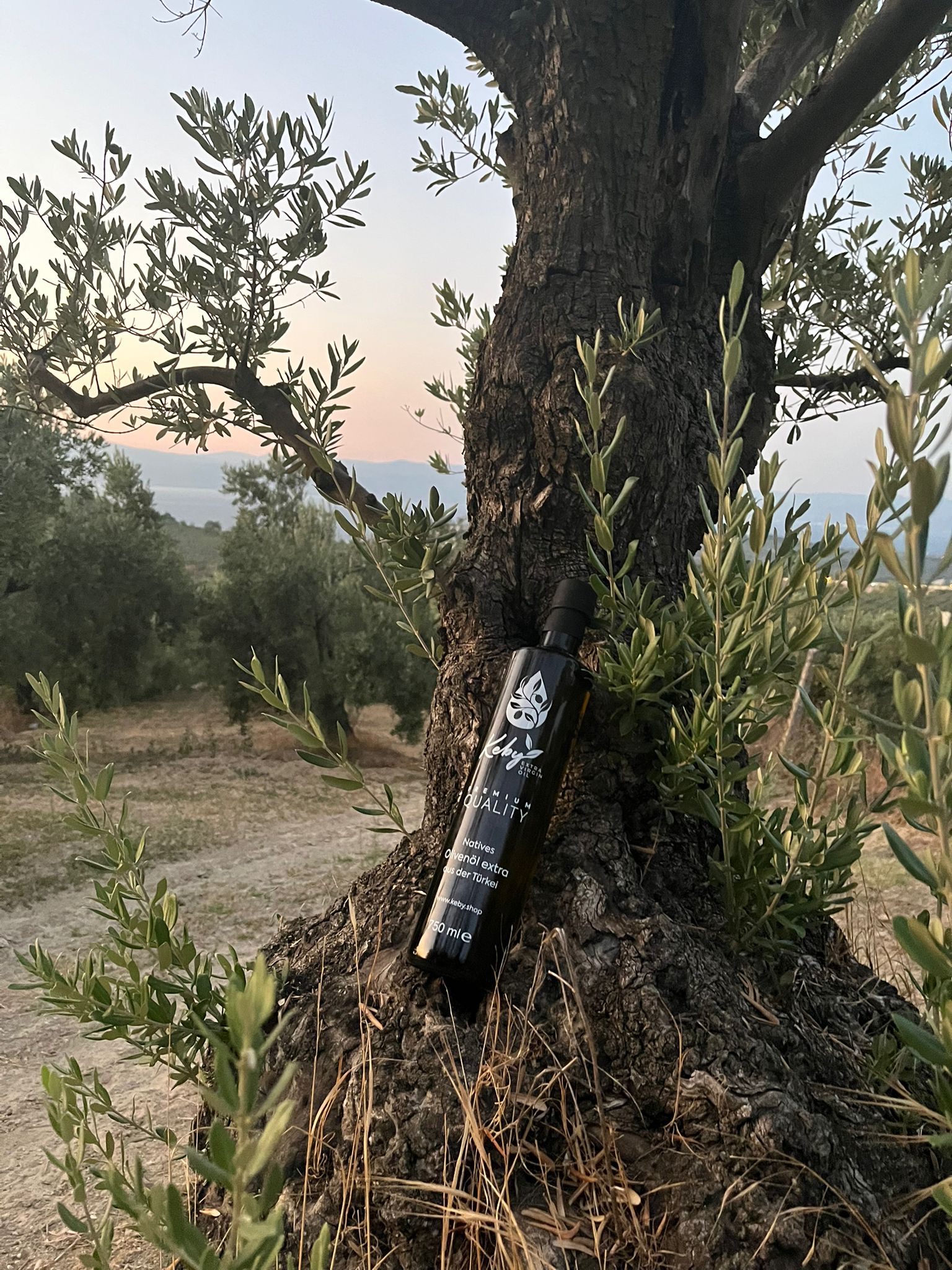 Sızma Zeytinyağı 750ml